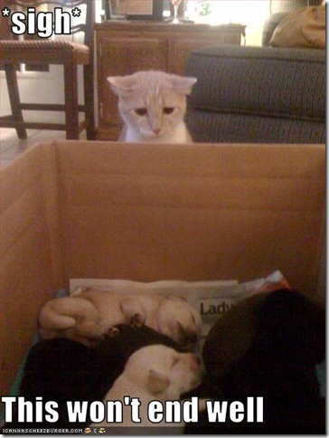 funny-pictures-cat-does-not-like-puppies